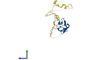 Protein Structure (PS) image for Heat Shock 22kDa Protein 8 (HSPB8) (AA 1-196) protein (His tag) (ABIN7561625)