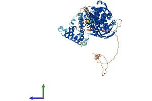 Protein Structure (PS) image for Signal Transducer and Activator of Transcription 5A (STAT5A) (AA 1-794) protein (His tag) (ABIN7555656)