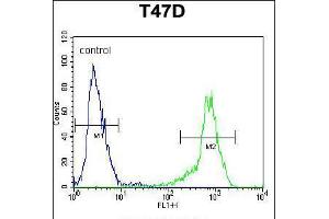 Flow cytometric analysis of T47D cells (right histogram) compared to a negative control cell (left histogram). (SIAH2 抗体  (AA 216-244))