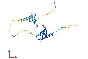 Protein Structure (PS) image for Chromobox Homolog 1 (CBX1) (AA 1-185) protein (His tag) (ABIN7553185)