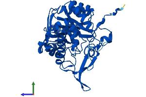 Protein Structure (PS) image for Guanosine Monophosphate Reductase (GMPR) (AA 1-345) protein (His tag) (ABIN7548075)
