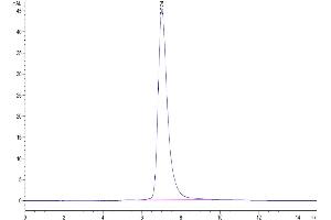 Size-exclusion chromatography-High Pressure Liquid Chromatography (SEC-HPLC) image for Leukocyte Immunoglobulin-Like Receptor, Subfamily A (With TM Domain), Member 4 (LILRA4) (AA 24-446) protein (His-Avi Tag) (ABIN7275179)