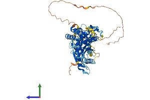 Protein Structure (PS) image for Transmembrane Protein 102 (TMEM102) (AA 1-509) protein (His tag) (ABIN7557254)