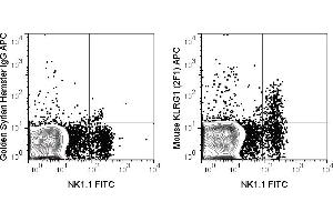 C57Bl/6 splenocytes were stained with FITC Anti-Mouse NK1. (KLRG1 抗体  (APC))