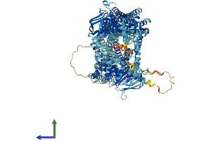 AlphaFold protein structure predicition of Human Recombinant ABCC3 Protein, UniprotID O15438