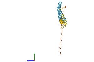 AlphaFold protein structure predicition of Human Recombinant IFITM2 Protein, UniprotID Q01629