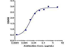 Immobilized human CD79b His at 16 μg/mL can bind Anti-CD79b Reference Antibody (polatuzumab), EC50=0.