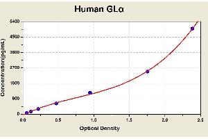 Galactosidase, alpha (GLA) ELISA Kit
