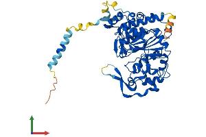 Protein Structure (PS) image for Glucosaminyl (N-Acetyl) Transferase 4, Core 2 (Beta-1,6-N-Acetylglucosaminyltransferase) (GCNT4) (AA 1-453) protein (His tag) (ABIN7547889)