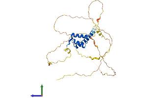 Protein Structure (PS) image for Homeobox C10 (HOXC10) (AA 1-342) protein (His tag) (ABIN7563107)