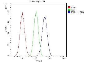Flow Cytometry analysis of A549 cells using anti-SHP2/PTPN11 antibody (ABIN6719583).