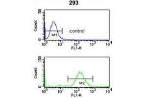 Flow Cytometry (FACS) image for anti-Survival Motor Neuron Domain Containing 1 (SMNDC1) (AA 19-48), (N-Term) antibody (ABIN954854)
