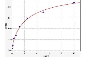 CD8 alpha ELISA 试剂盒