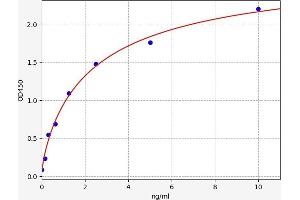 Typical standard curve (CD8 alpha ELISA 试剂盒)