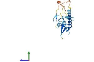 Protein Structure (PS) image for SIVA1, Apoptosis-Inducing Factor (SIVA1) (AA 1-175) protein (His tag) (ABIN7546025)