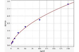 Clusterin (CLU) ELISA Kit