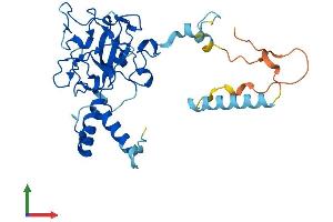 Protein Structure (PS) image for Family with Sequence Similarity 221, Member A (FAM221A) (AA 1-301) protein (His tag) (ABIN7559181)