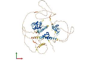 AlphaFold protein structure predicition of Human Recombinant IRF2BPL Protein, UniprotID Q9H1B7