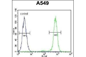 ANC5 Antibody (Center) 10974c flow cytometric analysis of A549 cells (right histogram) compared to a negative control cell (left histogram). (ANAPC5 抗体  (AA 156-185))
