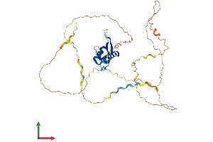 Protein Structure (PS) image for Forkhead Box L2 (FOXL2) (AA 1-375) protein (His tag) (ABIN7562608)