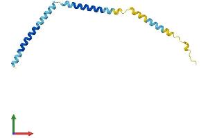 Protein Structure (PS) image for Potassium Voltage-Gated Channel, Isk-Related Family, Member 2 (KCNE2) (AA 1-123) protein (His tag) (ABIN7554298)
