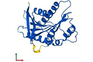 AlphaFold protein structure predicition of Mouse Recombinant Tex30 Protein, UniprotID Q3TUU5