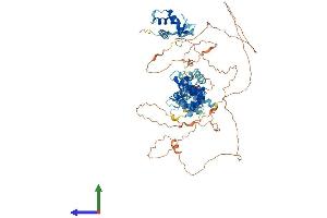 AlphaFold protein structure predicition of Human Recombinant DEPDC1 Protein, UniprotID Q5TB30 (DEPDC1 Protein (AA 1-811) (His tag))