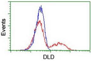 Flow Cytometry (FACS) image for anti-Dihydrolipoamide Dehydrogenase (DLD) antibody (ABIN1497850) (DLD 抗体)