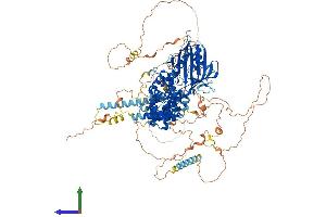 Protein Structure (PS) image for StAR-Related Lipid Transfer (START) Domain Containing 13 (STARD13) (AA 1-1113) protein (His tag) (ABIN7564857)