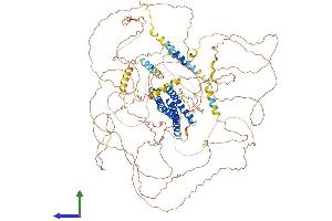 Protein Structure (PS) image for Discs, Large (Drosophila) Homolog-Associated Protein 2 (DLGAP2) (AA 1-1059) protein (His tag) (ABIN7564370)
