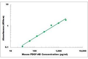 Representative Standard Curve (PDGF-AB Heterodimer ELISA 试剂盒)