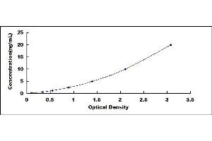 Typical standard curve (PRR4 ELISA 试剂盒)
