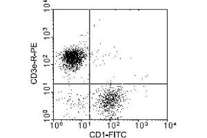 Flow Cytometry (FACS) image for anti-CD1a (CD1a) antibody (FITC) (ABIN371280) (CD1a 抗体  (FITC))