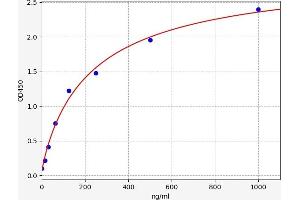 Typical standard curve (Complement Factor H ELISA 试剂盒)