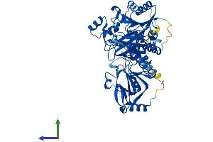Protein Structure (PS) image for Glycosyltransferase-Like Domain Containing 2 (GTDC2) (AA 1-580) protein (His tag) (ABIN7554998)