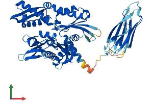 Protein Structure (PS) image for Heat Shock 70kDa Protein 14 (HSPA14) (AA 1-509) protein (His tag) (ABIN7548412)