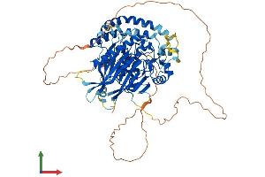 Protein Structure (PS) image for Sphingomyelin Phosphodiesterase 3 (SMPD3) (AA 1-655) protein (His tag) (ABIN7565104)