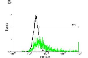 FACS analysis of negative control 293 cells (Black) and HLA-DRB3 expressing 293 cells (Green) using HLA-DRB3 purified MaxPab mouse polyclonal antibody. (HLA-DRB3 抗体  (AA 1-266))