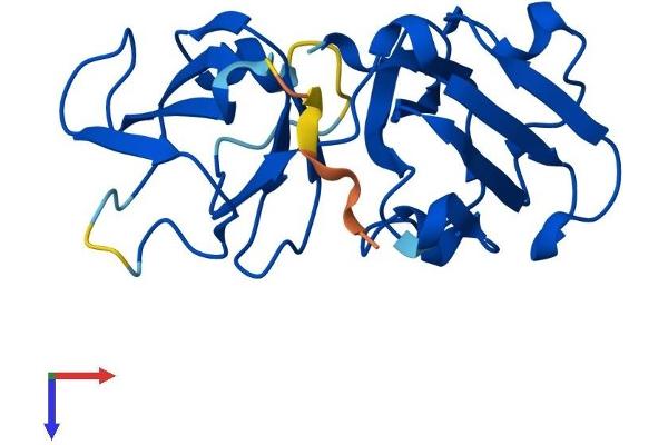 CRYbA2 Protein (AA 1-197) (His tag)