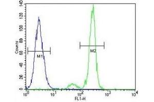 TNFR antibody flow cytometric analysis of A549 cells (green) compared to a negative control (blue).