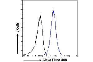 Flow Cytometry (FACS) image for anti-Tripartite Motif Containing 8 (TRIM8) (C-Term) antibody (ABIN184949)