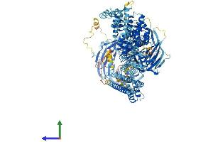 Protein Structure (PS) image for Elongator Complex Protein 1 (ELP1) (AA 1-1332) protein (His tag) (ABIN7553771)