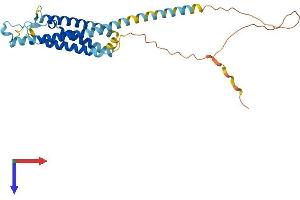 AlphaFold protein structure predicition of Mouse Recombinant Ms4a1 Protein, UniprotID P19437 (CD20 Protein (AA 1-291) (His tag))