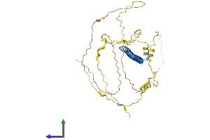 Protein Structure (PS) image for CAMP Responsive Element Binding Protein 5 (CREB5) (AA 1-357) protein (His tag) (ABIN7559477)