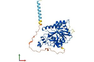 Protein Structure (PS) image for beta-1,3-N-Acetylglucosaminyltransferase 7 (B3GNT7) (AA 1-397) protein (His tag) (ABIN7559436)