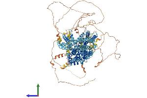 Protein Structure (PS) image for Solute Carrier Family 4, Anion Exchanger, Member 2 (erythrocyte Membrane Protein Band 3-Like 1) (SLC4A2) (AA 1-1237) protein (His tag) (ABIN7562864)