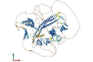 AlphaFold protein structure predicition of Human Recombinant DNMBP Protein, UniprotID Q6XZF7