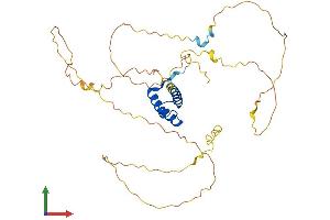 AlphaFold protein structure predicition of Human Recombinant HOXA2 Protein, UniprotID O43364