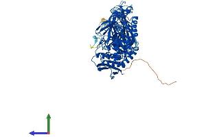 Protein Structure (PS) image for Myogenesis Regulating Glycosidase (MYORG) (AA 1-716) protein (His tag) (ABIN7557889)
