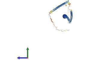 Protein Structure (PS) image for Synaptonemal Complex Central Element Protein 1 (SYCE1) (AA 1-329) protein (His tag) (ABIN7560978)